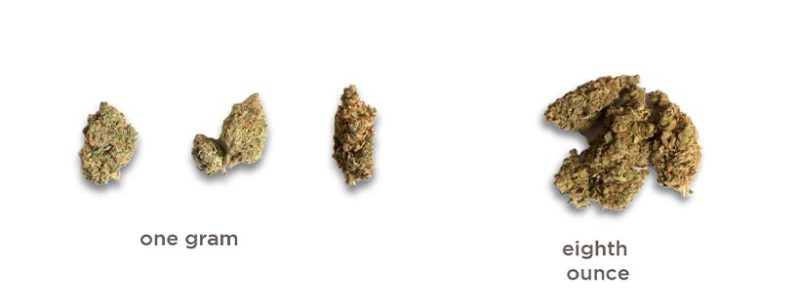 Cannabis Measurements To Know
