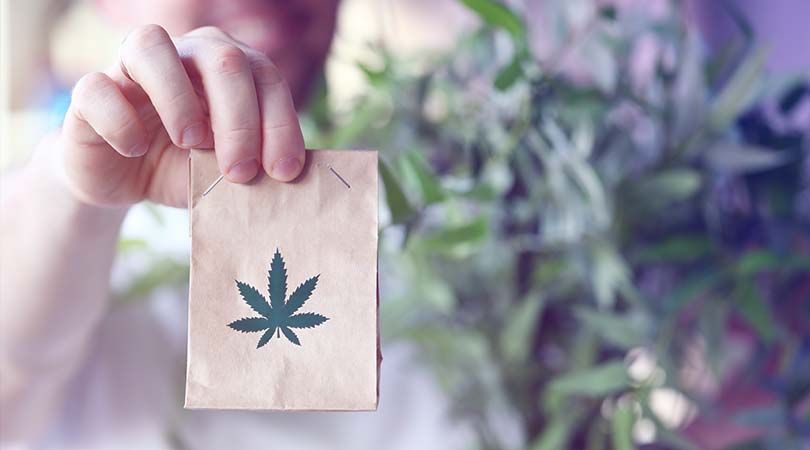 The Most Common Cannabis Flower Alternatives You Can Find Online in Canada