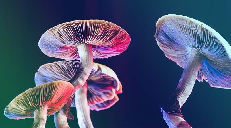 What Exactly Are Magic Mushrooms