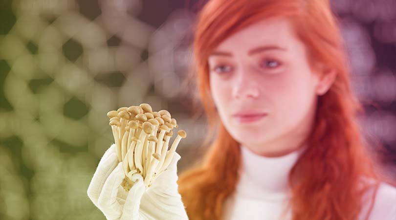 How to Take Shrooms - Dosing Magic Mushrooms