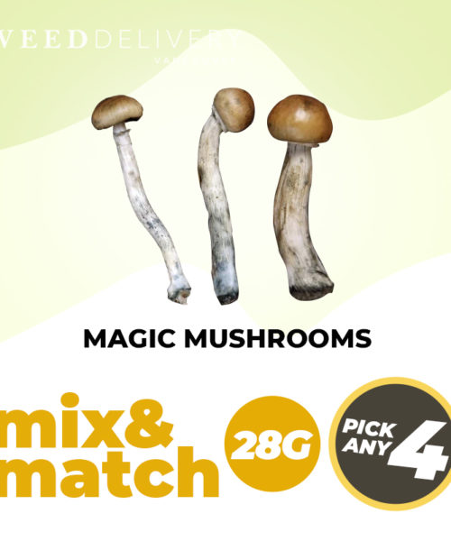 WDV Magic Mushrooms (28G) – Mix & Match – Pick Any 4
